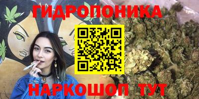 Альфа ПВП Кимры