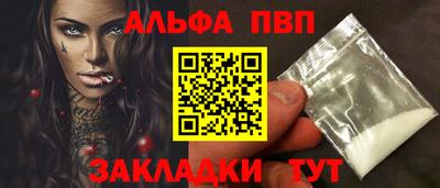 крисы Кингисепп