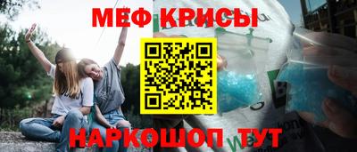 крисы Кингисепп