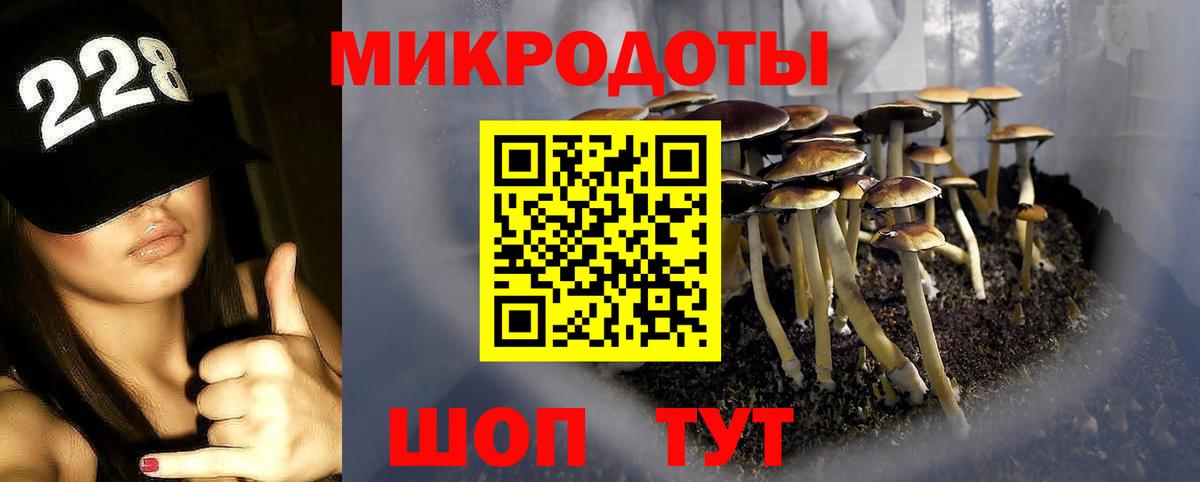 Кропоткин  Галлюциногенные грибы Psilocybine cubensis  Галлюциногенные грибы MAGIC MUSHROOMS  Вход с VPN 